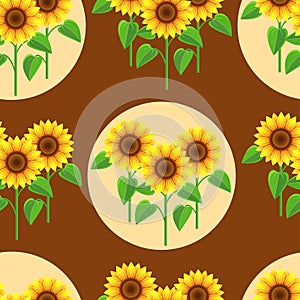 Seamless pattern with flowers sunflowers and circles