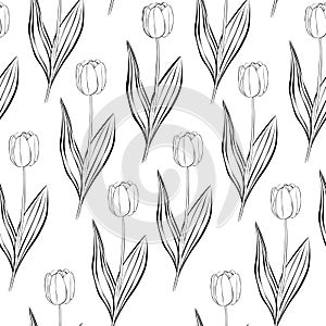 Seamless pattern flowers tulips black and white colors graphics vector illustration