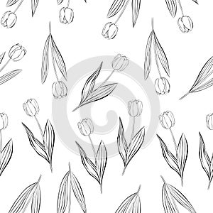 Seamless pattern flowers tulips black and white colors graphics vector illustration