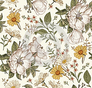 Seamless pattern flowers Vintage background Rosehip chamomile croton wildflowers Wallpaper Drawing engraving Vector Illustration