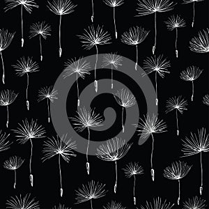 Seamless pattern of fluffy dandelions seeds