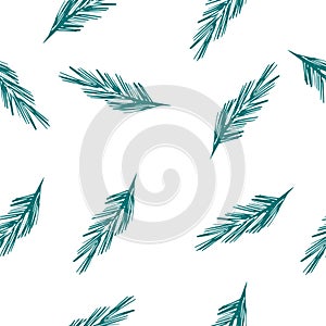 Seamless pattern with fluffy spruce and pine branches. Winter, Christmas and New Year pattern.