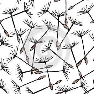 Seamless pattern with flying dandelion seeds or achenes photo