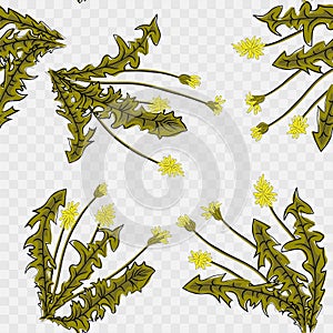 Seamless pattern. Flying of dandelion seeds. Stylish repeating texture. vector