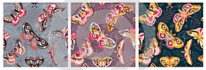 Seamless pattern flying night moths, butterflies. Color butterfly, moth, floral elements,