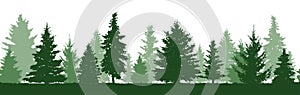 Seamless pattern of forest fir trees silhouette.
