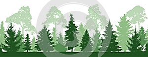 Seamless pattern of forest firs, pines trees, silhouette. photo