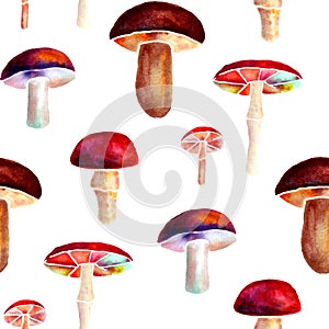 Seamless pattern with forest mushrooms in watercolor technique on white background.