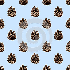 Seamless pattern of forest pine cones on blue background