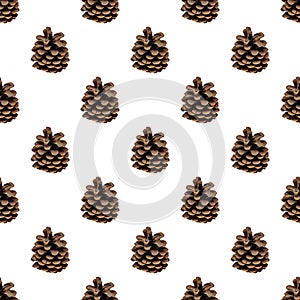 Seamless pattern of forest pine cones on white background