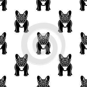 Seamless pattern with french bulldog breed dog.