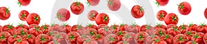 Seamless pattern with fresh tomatoes