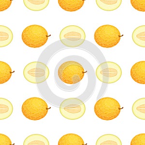 Seamless pattern with fresh whole and half melon fruit on white background. Honeydew melon. Summer fruits for healthy lifestyle.