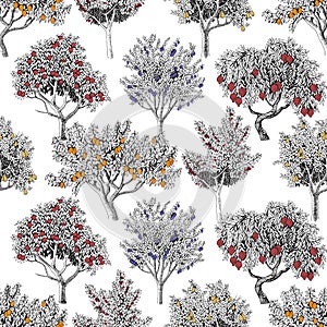 Seamless pattern with fruit trees