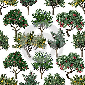 Seamless pattern with fruit trees