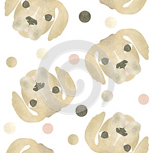 Seamless pattern with funny brown dog faces and colored circles. Watercolor illustration highlighted on a white