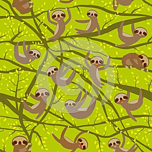 Seamless pattern funny and cute smiling Three-toed sloth on green branch tree creeper, green trendy background. Vector