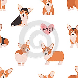 Seamless pattern with funny welsh corgi on white background. Backdrop with small adorable purebred dog, doggy, funny pet