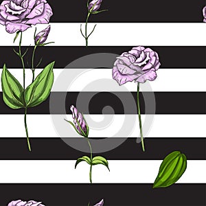 Seamless pattern with gently pink rose flower isolated on black and white striped background. Vector illustration.