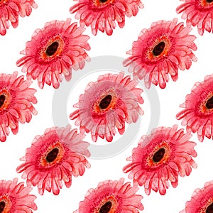 Seamless pattern with gerbera flower