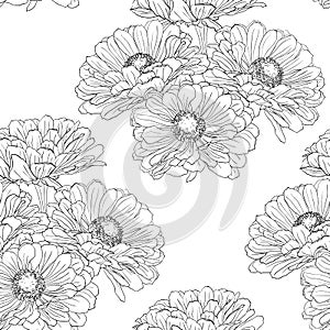 Seamless pattern with gerbera flowers