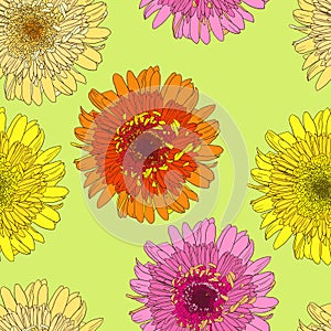 Seamless pattern with gerbers