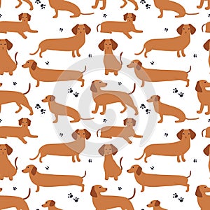 Seamless pattern with German badger-dog, dachshund. Cute cartoon character.