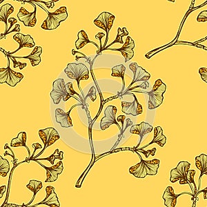 Seamless pattern of Ginkgo Biloba branch on beige orange photo