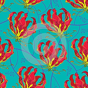 Seamless pattern with Gloriosa superba or flame lily, tropical flower on the green background. photo