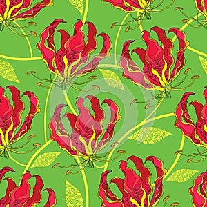 Seamless pattern with Gloriosa superba or flame lily, tropical flower and ornate leaf on the green background.