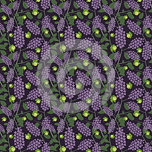 Seamless pattern gooseberry lilac flower