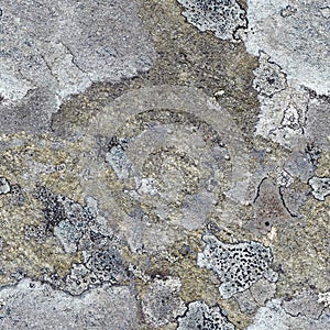 Seamless pattern - granite rock with north lichen