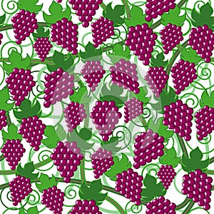 Seamless pattern with grape