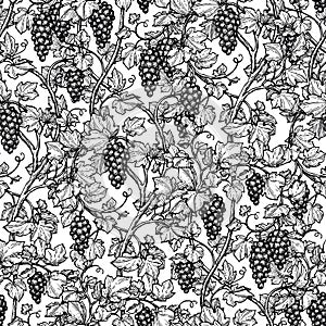 Seamless pattern with grape vine.