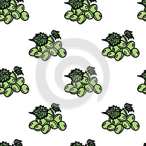 seamless pattern with grapes. Isolated on white background. Vector