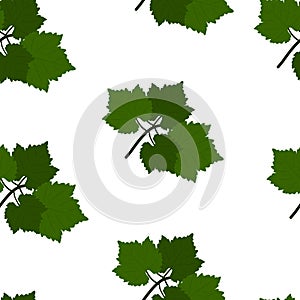 Seamless pattern with Grapes and leaves. Flat Design Illustration