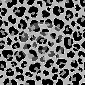 Seamless pattern gray Leopard print . Leopard background vector illustration