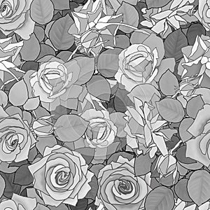 Seamless pattern with gray roses in black and white.