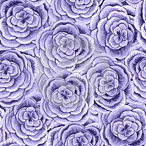 Seamless pattern with gray roses painted in watercolor.