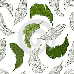 Seamless Pattern. Green Banana Leaves white Background.