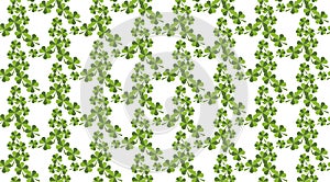 Seamless pattern with green clover. St. Patrick`s day.