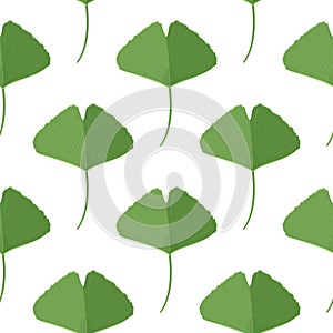 Seamless pattern with green ginkgo leaves. Natural simple background