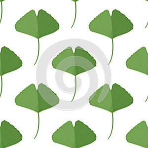 Seamless pattern with green ginkgo leaves. Natural simple background