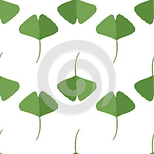 Seamless pattern with green ginkgo leaves. Natural simple background