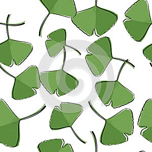 Seamless pattern with green ginkgo leaves. Natural simple background