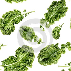 Seamless pattern with green kale leaf isolated on white. Vegetable background. Food texture. Close-up photo