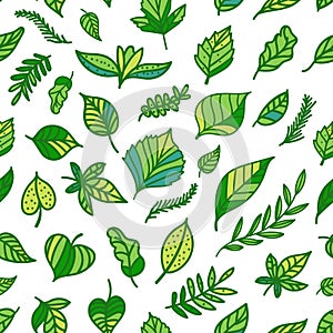 Seamless pattern Green leaf hand drawn texture isolated on white background. Eco surface design
