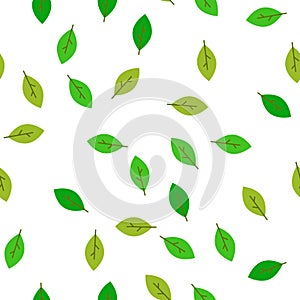 Seamless pattern green leaves. Flat vector template.