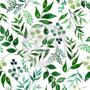 Seamless pattern of green leaves, herbs, tropical plant hand drawn watercolor. Fresh beauty rustic eco friendly background.