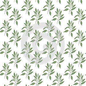 Seamless pattern green leaves of sandalwood